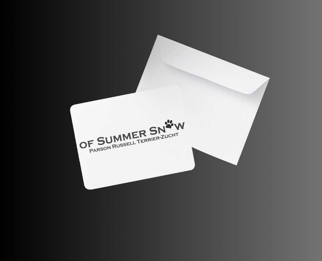 Referenz: of Summer Snow Logo Erstellung